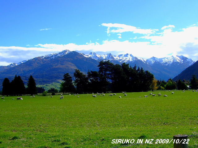 Way of wanaka3