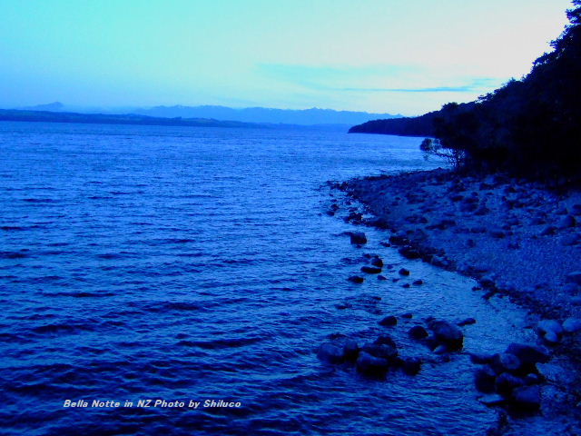 Bella Notte in NZ photo by Shiluco