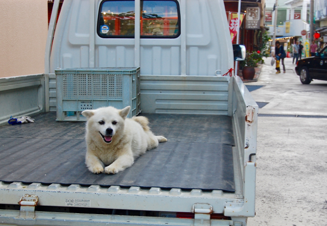 DSC_5012 DSC_5012