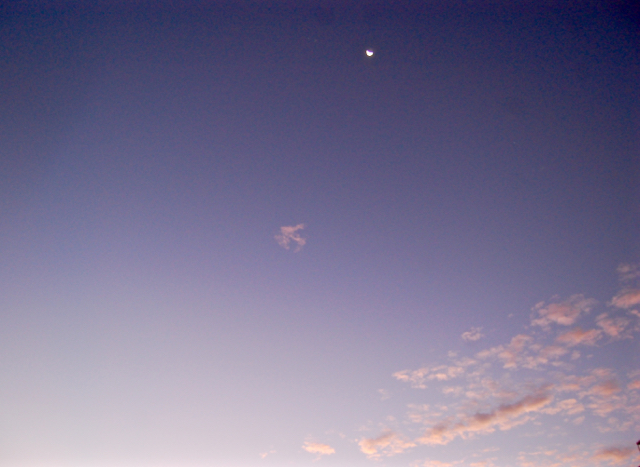 DSC_5704 (1)